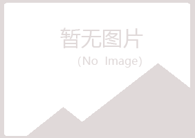 鹤岗东山寒云金属有限公司